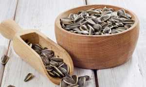 Можно ли есть сырые или жареные семечки при похудении и различных диетах для здоровья?