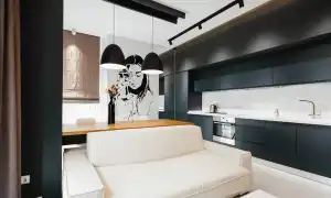 Кухня-студия: оригинальные идеи и практические рекомендации. Кухня в студии.