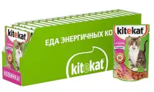 Состав, польза и вред сухого и влажного корма Kitekat. Китекат сухой корм.