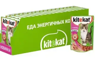 Состав, польза и вред сухого и влажного корма Kitekat. Китекат сухой корм.