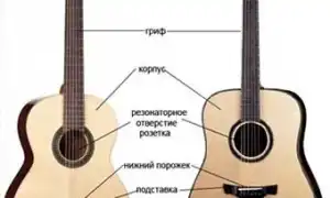 Описание видов гитар