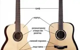 Описание видов гитар