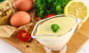 Как приготовить вкусный и полезный майонез блендером в домашних условиях — 4 пошаговых рецепта для всей семьи