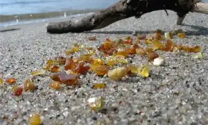 Насекомые и животные в янтаре