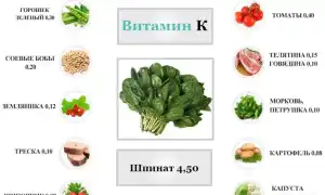 Для чего нужен витамина К нашему организму и в каких продуктах содержится его больше всего – полезные советы