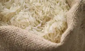 Как правильно хранить рис в домашних условиях и сколько он может храниться. Срок годности риса.