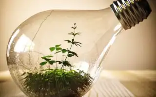 Поделки из лампочек своими руками. Поделки из лампочек.