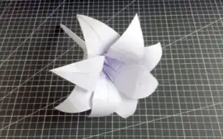 Создание оригами в виде лилии. Лилия из бумаги.