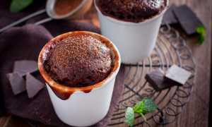 Как за 5 минут приготовить в микроволновке кекс – 10 оригинальных рецептов для домашних хозяек