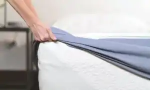 Какими бывают матрасы из холкона и как их выбрать. Холкон что это такое в матрасе отзывы.