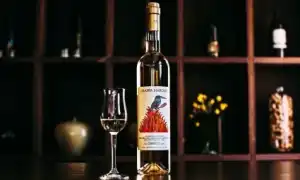 Выбираем рюмки для граппы. Рюмка для граппы.