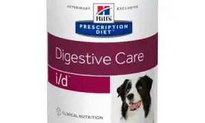 Лучшие корма для йорка. Корм для йоркширского терьера.