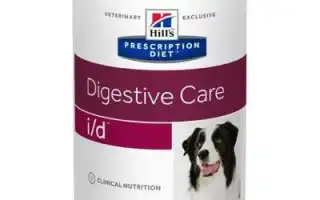 Лучшие корма для йорка. Корм для йоркширского терьера.