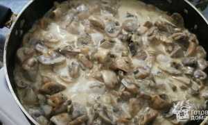 Простой и очень вкусный рецепт шампиньонов в сметане на сковороде для всей семьи