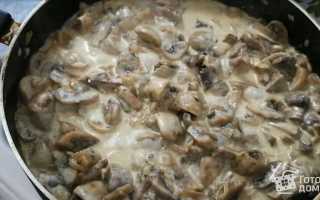Простой и очень вкусный рецепт шампиньонов в сметане на сковороде для всей семьи