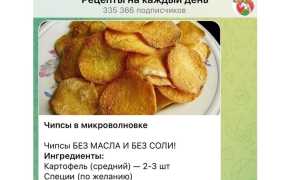 7 рецептов как сделать вкусные чипсы в микроволновке + дополнительные советы для идеального результата