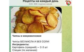 7 рецептов как сделать вкусные чипсы в микроволновке + дополнительные советы для идеального результата