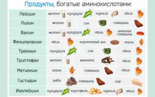 Аминокислоты: таблица содержания в продуктах питания и суточная норма для человека, полезные советы
