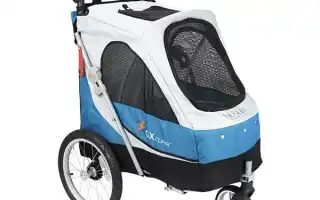 Коляски для собак: виды, особенности выбора и использования. Коляска для собак.