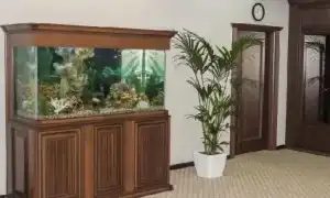 Всё о тумбах для аквариума. Подставка для аквариума.