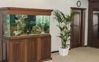Всё о тумбах для аквариума. Подставка для аквариума.