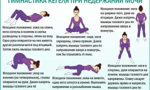 Как правильно выполнять упражнения Кегеля для женщин в домашних условиях? Полезные советы и рекомендации