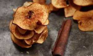 Пошаговый рецепт как сделать очень вкусные яблочные чипсы в духовке самостоятельно и легко