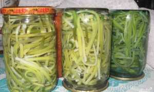 Как вкусно замариновать черемшу в домашних условиях: простые рецепты + что из нее можно приготовить для всей семьи