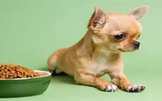 Виды кормов для собак мелких пород от Грандорф. Грандорф для собак мелких пород.