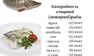Какую рыбу можно есть при похудении: список сортов и как приготовить вкусно и полезно