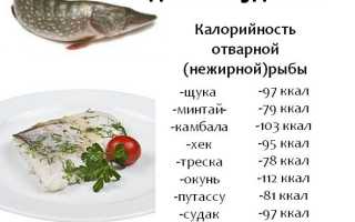 Какую рыбу можно есть при похудении: список сортов и как приготовить вкусно и полезно