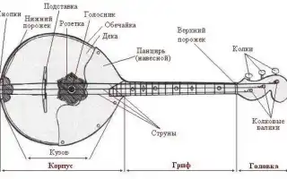 Что такое домра и как на ней играть