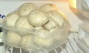 Актуальные сроки хранения свежих сырых шампиньонов. Сколько хранятся шампиньоны в холодильнике.