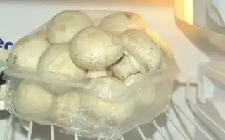 Актуальные сроки хранения свежих сырых шампиньонов. Сколько хранятся шампиньоны в холодильнике.