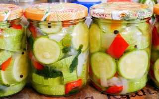 Как заготовить вкусные кабачки на зиму: 5 простых рецептов маринования цуккини для всей семьи
