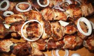 Рецепт приготовления невероятно вкусного шашлыка из свинины с гранатом и аджикой для праздника