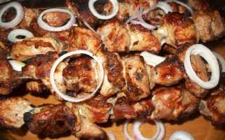 Рецепт приготовления невероятно вкусного шашлыка из свинины с гранатом и аджикой для праздника