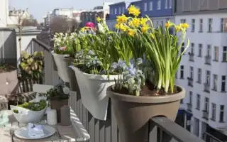 Как использовать цветы для оформления балкона и лоджии
