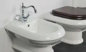 Биде: что это такое, функции, габариты и устройство. Что такое биде.