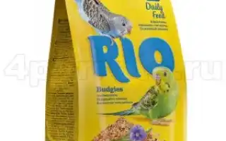 Все о кормах RIO