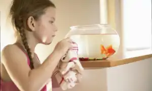 Как мыть аквариум