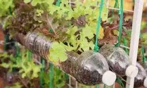 15 идей, как можно использовать пластиковые бутылки на даче