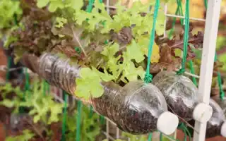 15 идей, как можно использовать пластиковые бутылки на даче