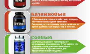 Все виды протеиновых смесей и помощь в выборе подходящей именно вам для достижения целей