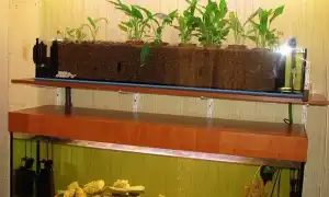 Фитофильтр для аквариума своими руками