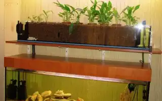 Фитофильтр для аквариума своими руками