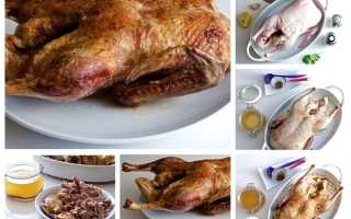 Как сделать маринад для утки перед запеканием в духовке – 7 проверенных рецептов на любой вкус