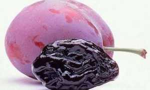 Можно ли для похудения использовать чернослив – отзывы похудевших + рецепты вкусных диетических блюд и советы