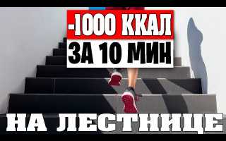 Как сжечь 1000 калорий дома — более 10 быстрых способов в домашних условиях для эффективного результата