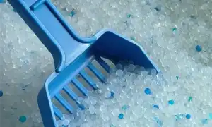 Обзор силикагелевого наполнителя